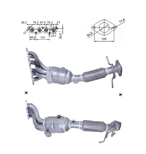 Ford C-MAX 1.6i 16V 1596 cc 74 Kw / 101 cv HWDA/B - SHDA/B/C Mag